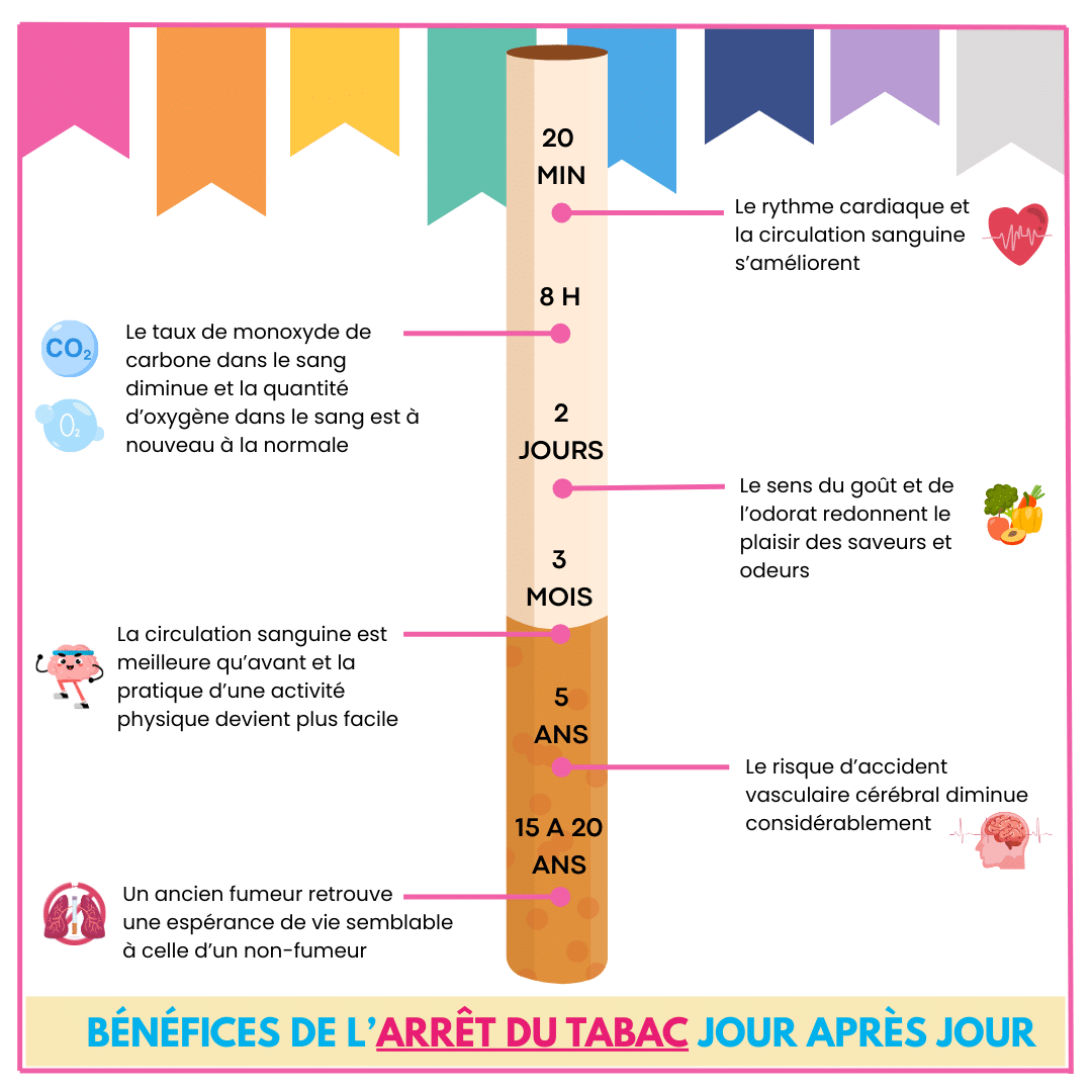 Bénéfices de l'arrêt du tabac jour après jour 20 minutes : Le rythme cardiaque et la circulation sanguine s’améliorent 8 heures : Le taux de monoxyde de carbone dans le sang diminue et la quantité d’oxygène dans le sang est à nouveau à la normale 2 jours : Le sens du goût et de l’odorat redonnent le plaisir des saveurs et odeurs 3 mois : La circulation sanguine est meilleure qu’avant et la pratique d’une activité physique devient plus facile 5 ans : Le risque d’accident vasculaire cérébral diminue considérablement 15 à 20 ans : Un ancien fumeur retrouve une espérance de vie semblable à celle d’un non-fumeur