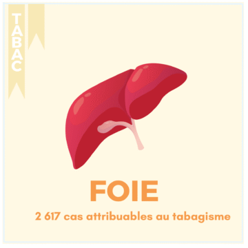 TABAC – 17 LOCALISATIONS (11)