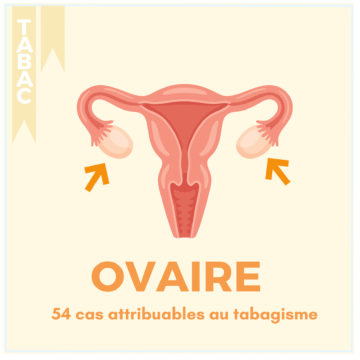 TABAC – 17 LOCALISATIONS (12)