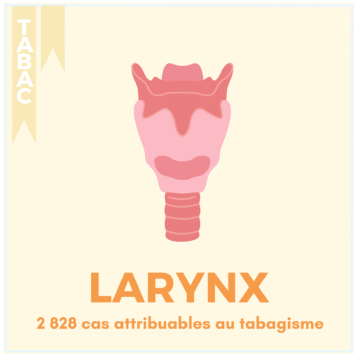 TABAC – 17 LOCALISATIONS (14)