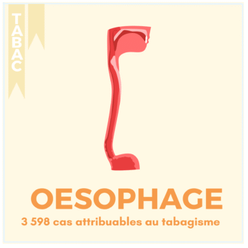 TABAC – 17 LOCALISATIONS (15)