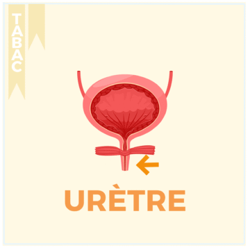 TABAC – 17 LOCALISATIONS (3)