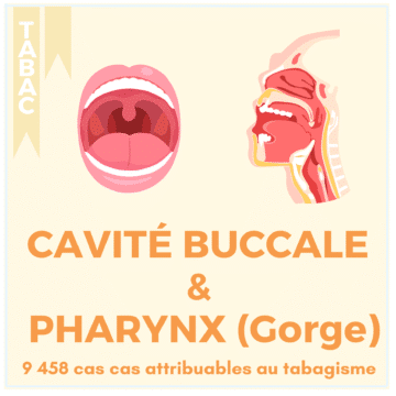TABAC – 17 LOCALISATIONS (6)