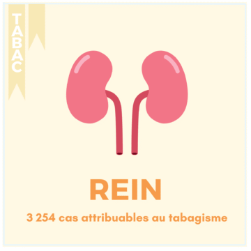 TABAC – 17 LOCALISATIONS (8)