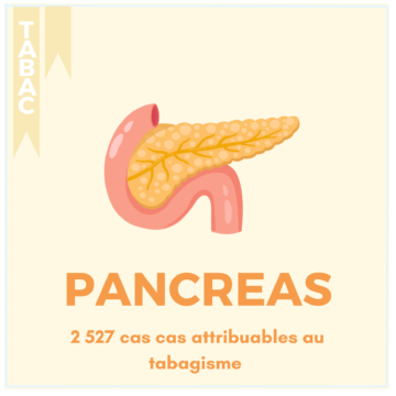 TABAC – 17 LOCALISATIONS (9)