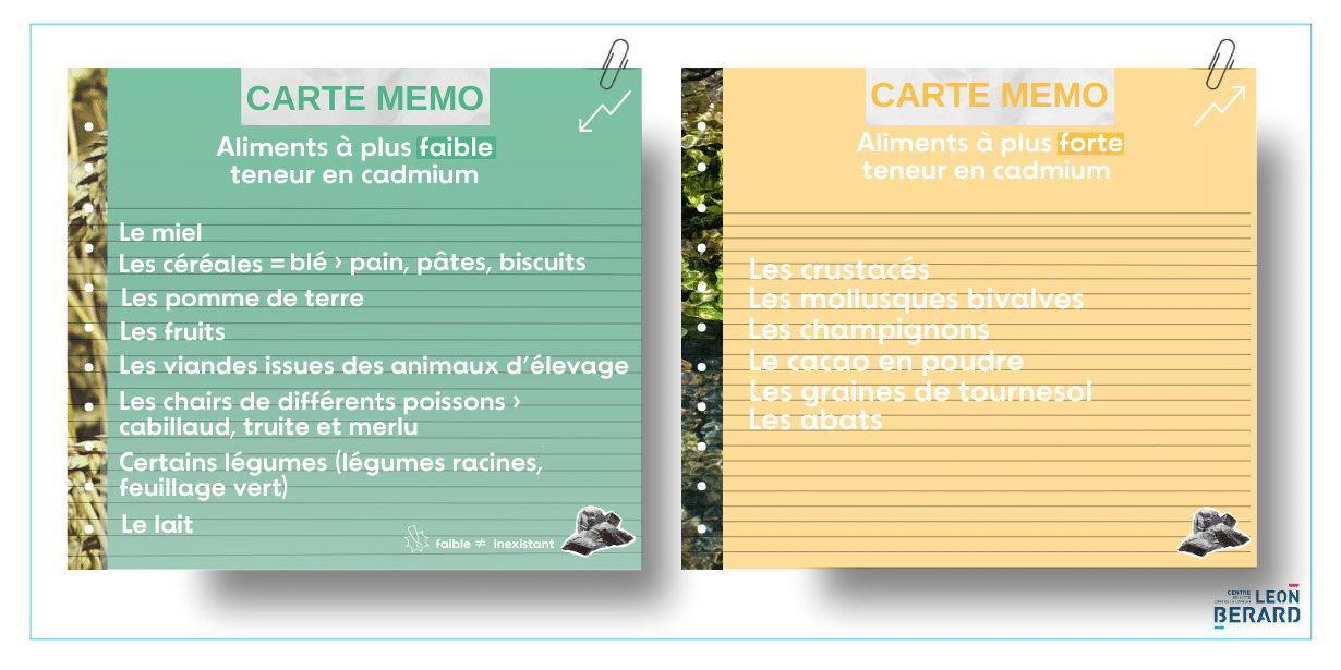 Mémos sur les aliments à faible et haute teneur en cadmium Fort : miel, céréales, pomme de terre, fruits, viandes issu des animaux d'élevage, chairs de différents poissons (merlu, truite, cabillaud) et certains légumes Bas : crustacés, mollusques bivalves, champignon, cacao en poudre, graine de tournesol, abats