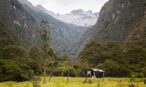 landscape-with-mountain-meadow